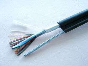 DJYP3VP3-22 3×2×1.5聚乙烯絕緣對絞鋁塑復合聚氯乙烯護套鋼帶鎧裝計算機電纜